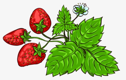 Clipart Leaf Strawberry - Strawberry, HD Png Download, Transparent PNG