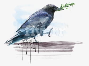 Transparent Watercolor Bird Png - American Crow, Png Download, Transparent PNG