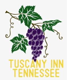 Tuscany Inn Tennessee - Seedless Fruit, HD Png Download, Transparent PNG