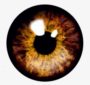 Eye , Eyes , Eyeball , Eyeballs , Png Download - Brown Eyes Transparent Background, Png Download, Transparent PNG