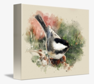 Transparent Chickadee Clipart - Perching Bird, HD Png Download, Transparent PNG
