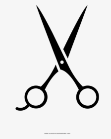 Clip Art Tesoura Clipart - Hair Scissors Drawing, HD Png Download, Transparent PNG