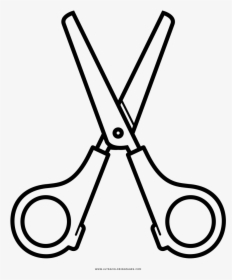 Noted Coloring Page Ultra - Scissors Black And White Clipart, HD Png Download, Transparent PNG