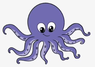 Cartoon Octopus Pictures - Octopus Drawing, HD Png Download, Transparent PNG