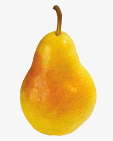 Pear Png Image - Груша Png, Transparent Png, Transparent PNG