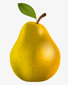 Pear Clipart Different Kind Fruit - Pears Images Clip Art, HD Png Download, Transparent PNG