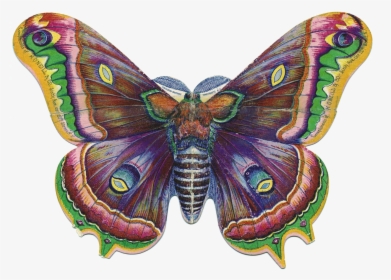 Transparent Butterfly Bush Png - Fairy Graphics, Png Download, Transparent PNG