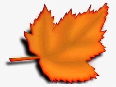 Fall Leaf Transparent Background, HD Png Download, Transparent PNG