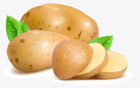 Potato Png Hq Image - Potato Png, Transparent Png, Transparent PNG