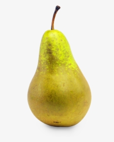 Asian Pear, HD Png Download, Transparent PNG