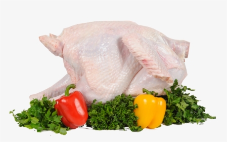 Transparent Thanksgiving Food Png - Turkey Meat Png, Png Download, Transparent PNG