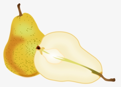 Plant,apple,food - Pear Clipart Hd, HD Png Download, Transparent PNG