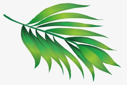 Transparent Green Leaf Icon Png - Plant Png, Png Download, Transparent PNG