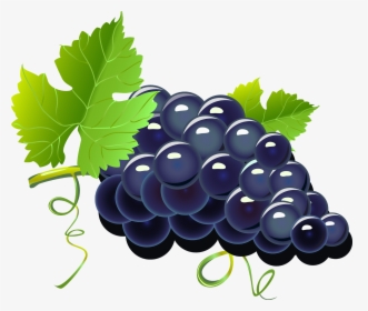 Purple Cartoon Grapes Png Image - Grape Cartoon Png, Transparent Png, Transparent PNG