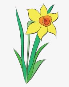 April Showers Bring May Flowers Clip Art Free - Daffodil Flower Clip Art, HD Png Download, Transparent PNG