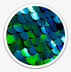 Blue & Green Ombré Luxe Sequin Backdrop - Circle, HD Png Download, Transparent PNG