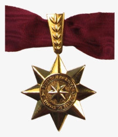 Transparent Estrella Dorada Png - Medallas De Honor En Artes Marciales, Png Download, Transparent PNG