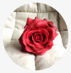 Rosa Roja Tacto Natural , Png Download - Rosa Natural Png, Transparent Png, Transparent PNG