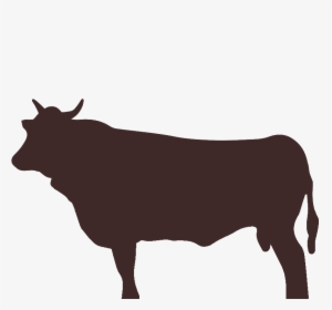 Dairy Cow Clipart , Png Download - Bull, Transparent Png, Transparent PNG
