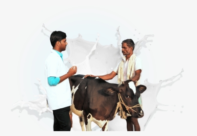Dairy Cow Png -right Side Image - Dairy Farmers In India, Transparent Png, Transparent PNG