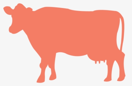 F F Cow - Dairy Cow, HD Png Download, Transparent PNG