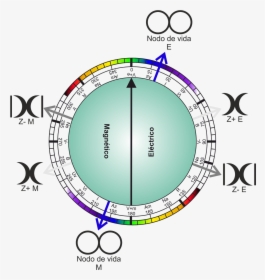 Ondas De Colores Png, Transparent Png, Transparent PNG