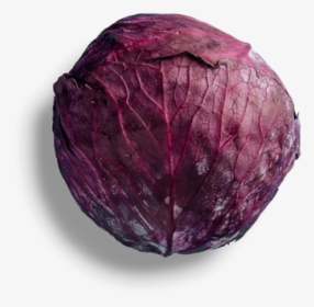 Red Cabbage, HD Png Download, Transparent PNG