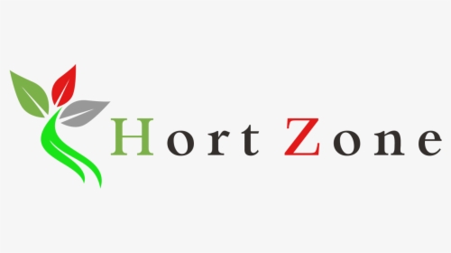 Hort Zone - Graphic Design, HD Png Download, Transparent PNG