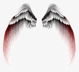 Photography Clipart Eyelash - Black And Red Angel Wings, HD Png Download, Transparent PNG