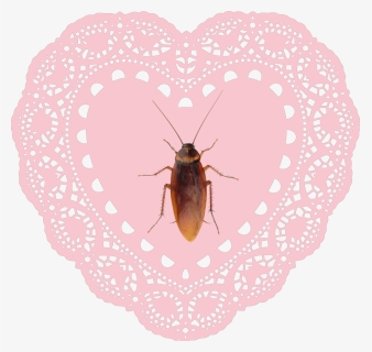#heart #hearts #pink #encaje #cucaracha #crybaby #cute - Heart Lace Doily Png, Transparent Png, Transparent PNG