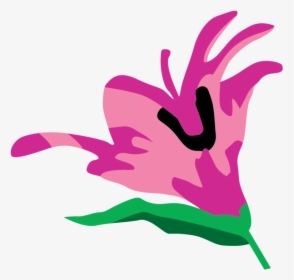 Flower1 - Illustration, HD Png Download, Transparent PNG