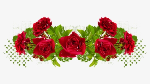 Tube Roses Rouges - Floribunda, HD Png Download, Transparent PNG