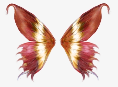 Asas - Butterfly Wings Vector Png, Transparent Png, Transparent PNG