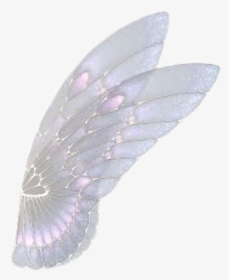 #borboleta #tumblr #asa #anjo - Asas De Fada Em Png, Transparent Png, Transparent PNG