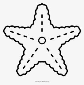Starfish Coloring Page - Estrella De Mar Png Colorear, Transparent Png, Transparent PNG