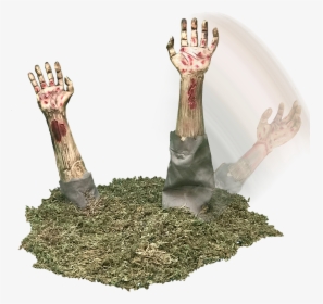 Arm Coming Out Of The Ground Transparent, HD Png Download, Transparent PNG
