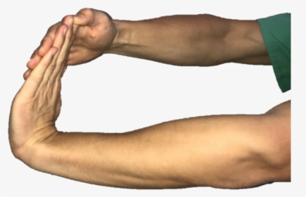With Your Elbow Straight And Palm Facing The Floor, - Palm And Elbow, HD Png Download, Transparent PNG