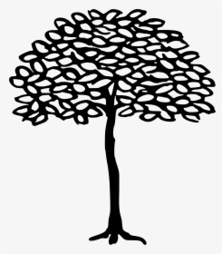 Life Clipart Sycamore - Sycamore Tree Easy Drawings, HD Png Download, Transparent PNG