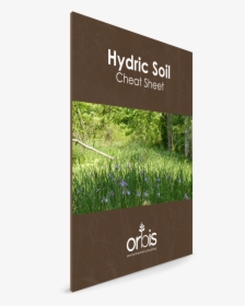 Hydric Soil Cheat Sheet - Sign, HD Png Download, Transparent PNG