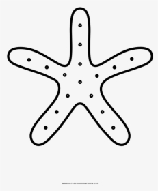 Estrella De Mar Página Para Colorear - Drawing, HD Png Download, Transparent PNG