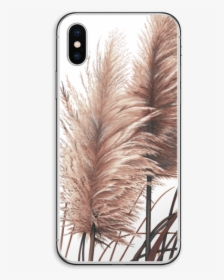Pampas Grass Skin Iphone Xs - Pampas Grass High Res, HD Png Download, Transparent PNG