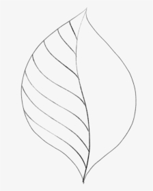 Transparent Leaves Drawing Png - Simple Leaf Transparent Background, Png Download, Transparent PNG