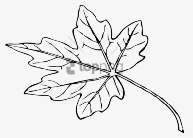 Free Png Papaya Leaf Black And White Png Image With - Small Leaf Black And White, Transparent Png, Transparent PNG