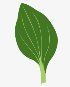 How To Draw A - Tree Leaf Drawing Png, Transparent Png, Transparent PNG