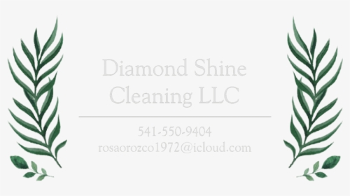 Diamond Shine Cleaning Llc - Illustration, HD Png Download, Transparent PNG