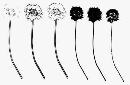 Floral Design, HD Png Download, Transparent PNG