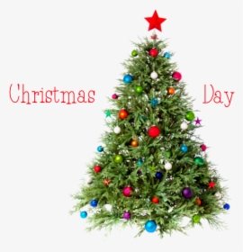 Christmas Day Tree Png Image - Merry Christmas Tree Png, Transparent Png, Transparent PNG
