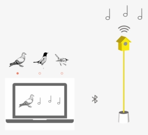 Hearing Birdsong Website Animations-18 - Illustration, HD Png Download, Transparent PNG