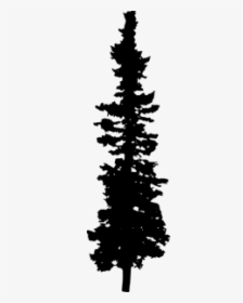 Transparent Pine Tree Silhouette Png - Pine Tree Silhouette, Png Download, Transparent PNG