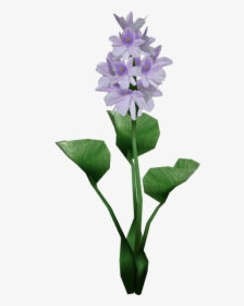 Thumb Image - Water Hyacinth Plant Png, Transparent Png, Transparent PNG